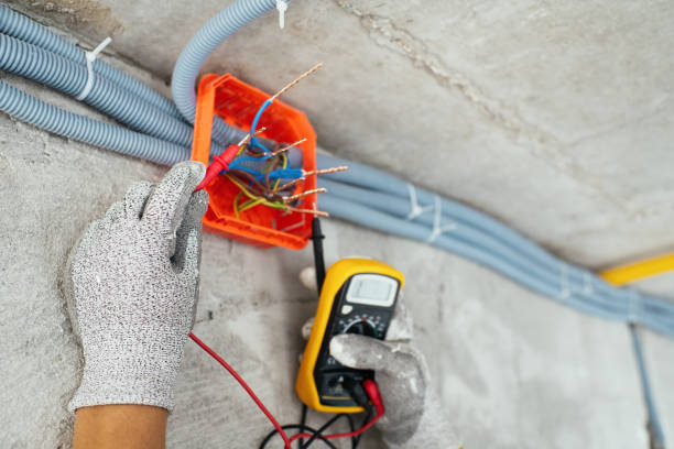 Best Licensed Electrician  in Plainwell, MI